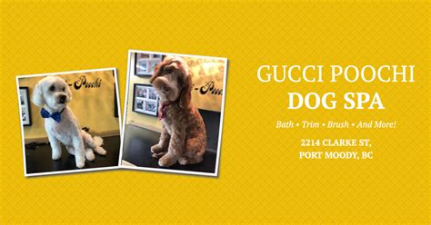 Gucci Poochi Port Moody opening hours 2214 Clake St